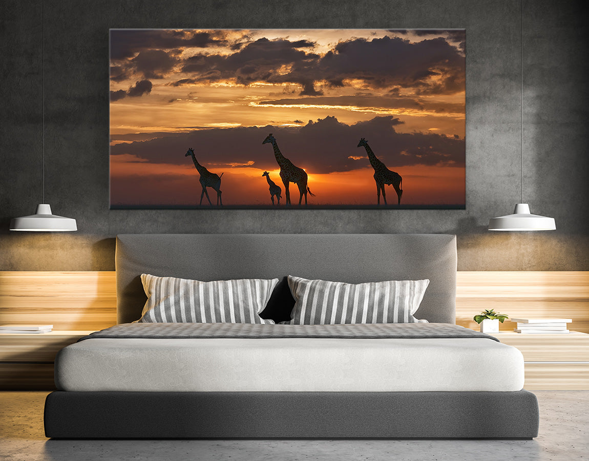 Giraffes