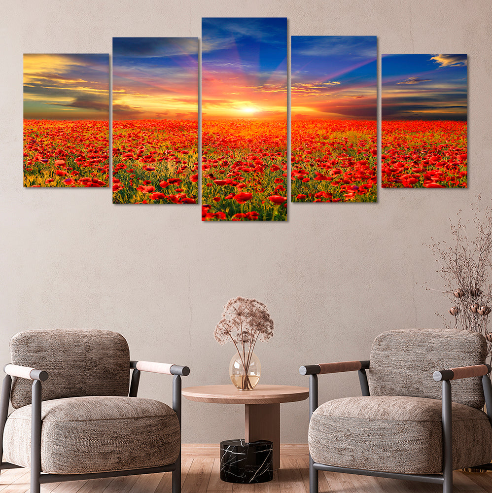 Cloudy skies over the poppies