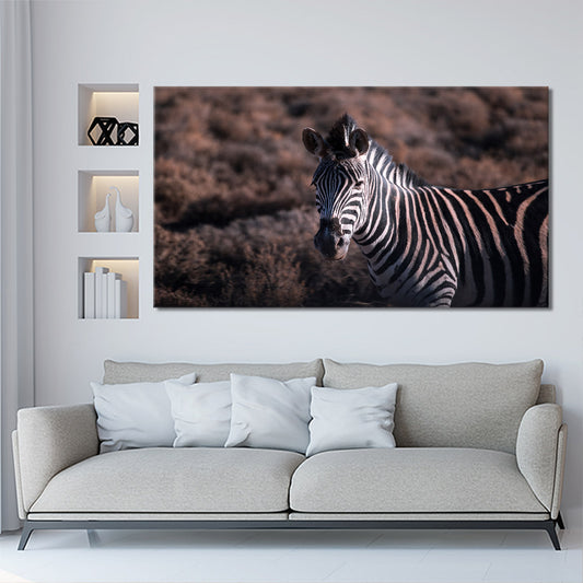 Zebra in natural terrain