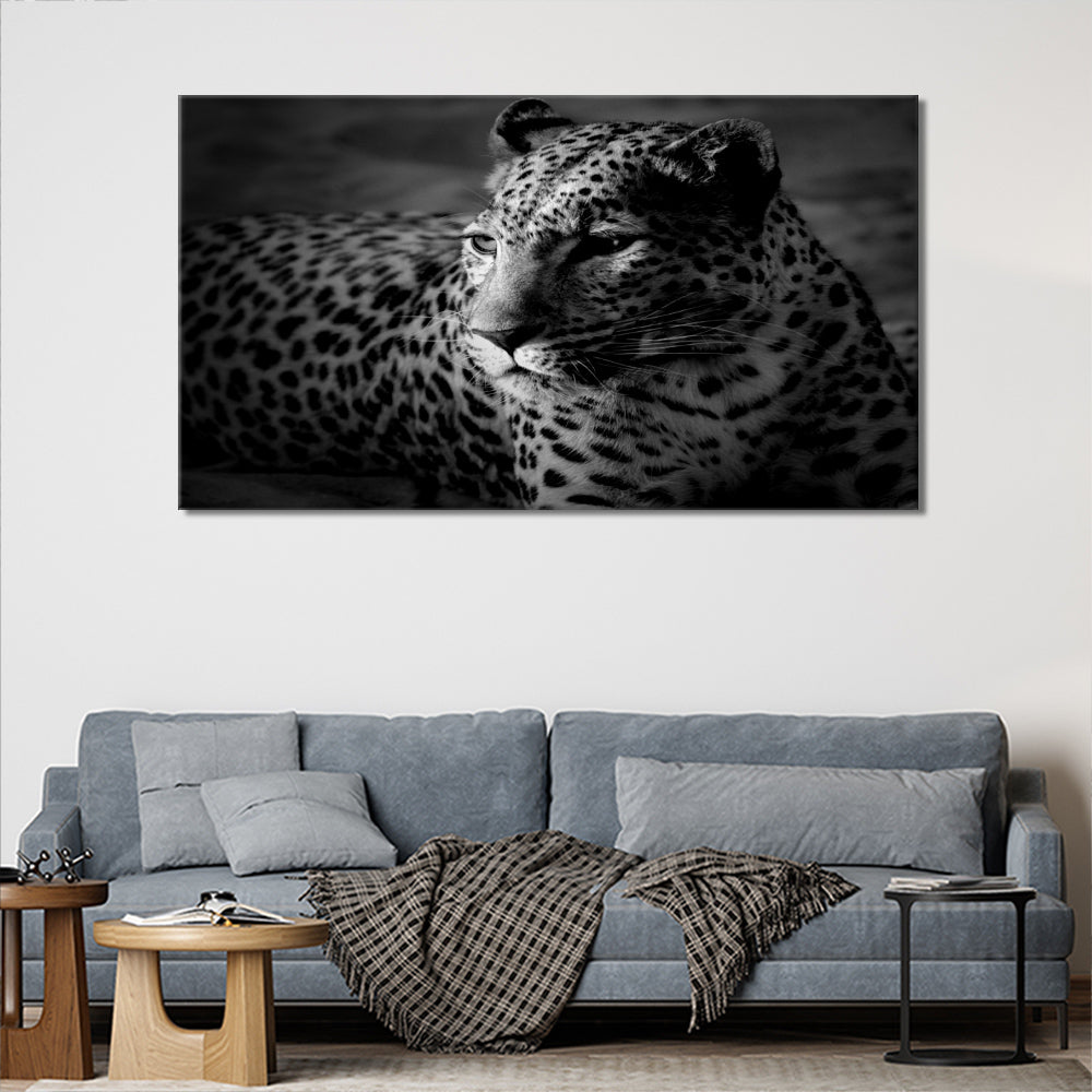 Resting leopard