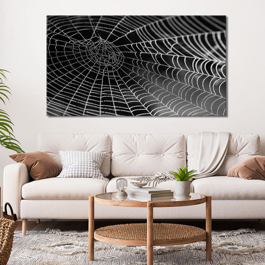 Spiders web