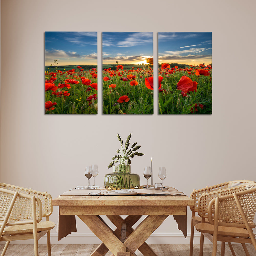 Sunrise through the poppies