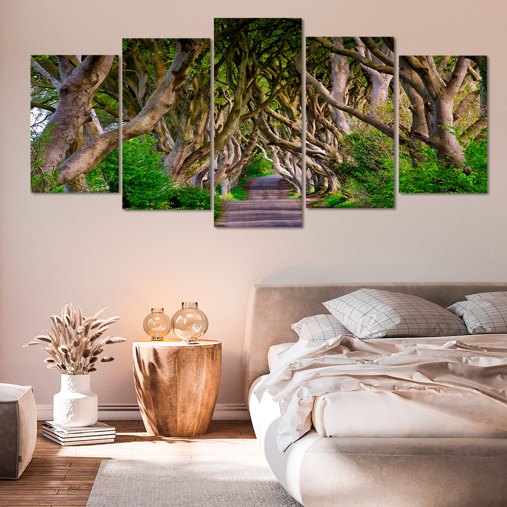 Ireland Dark Hedges