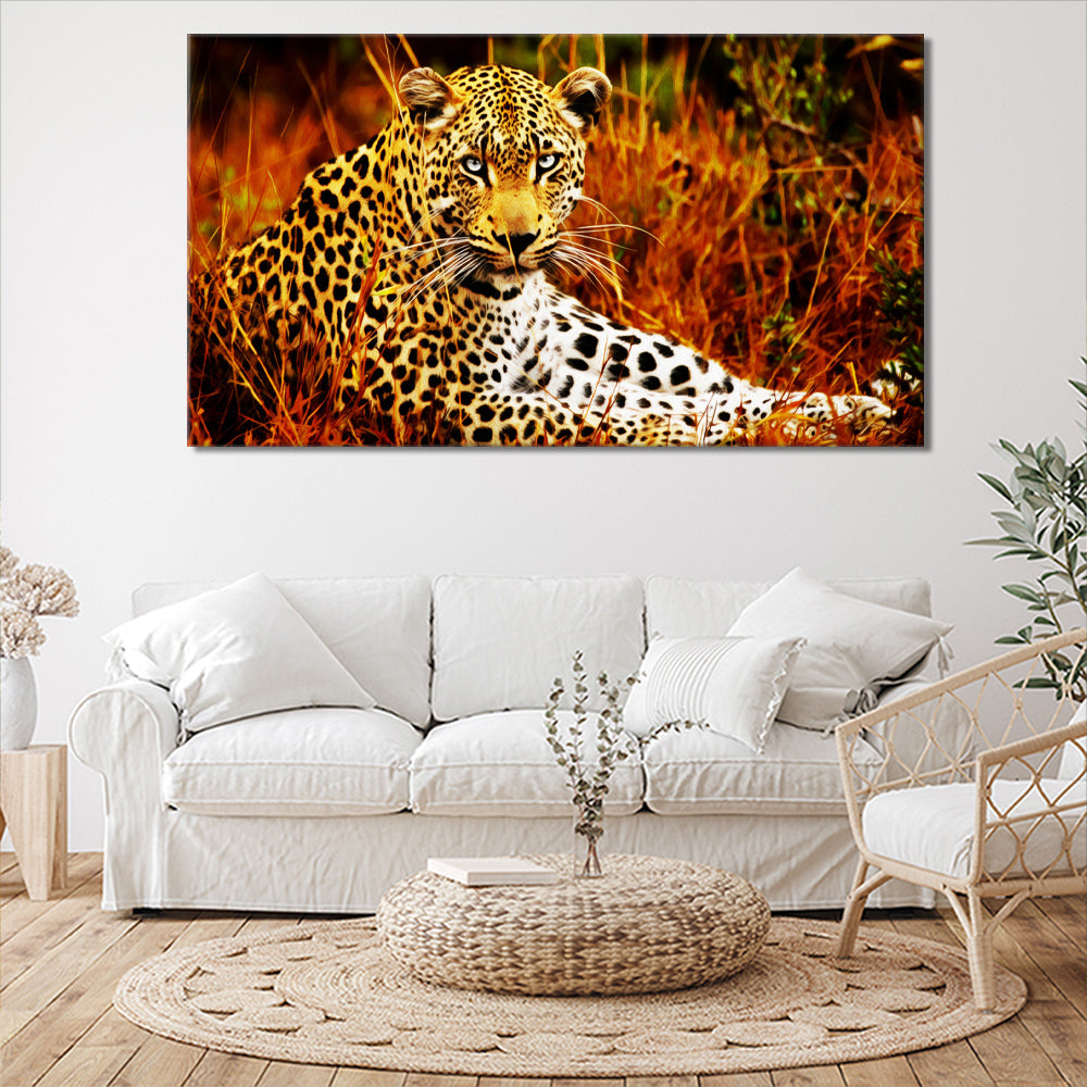 Stunning leopard in waiting