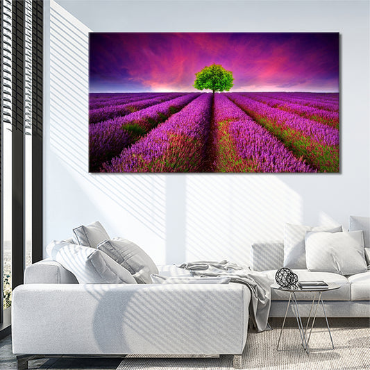 Lavender field