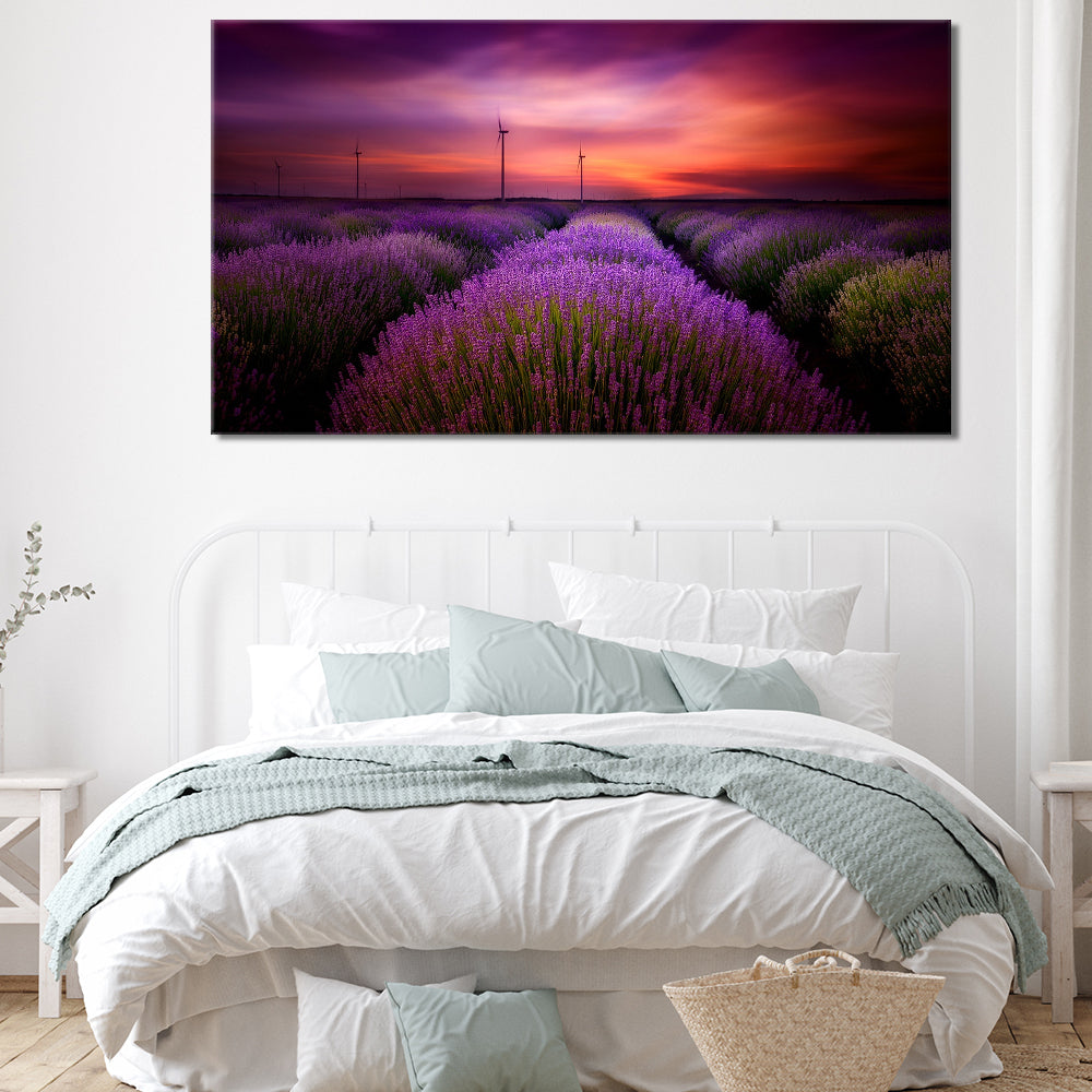 Stunning lavender field