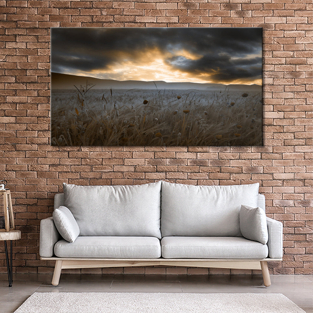 Clouds over the poppy field