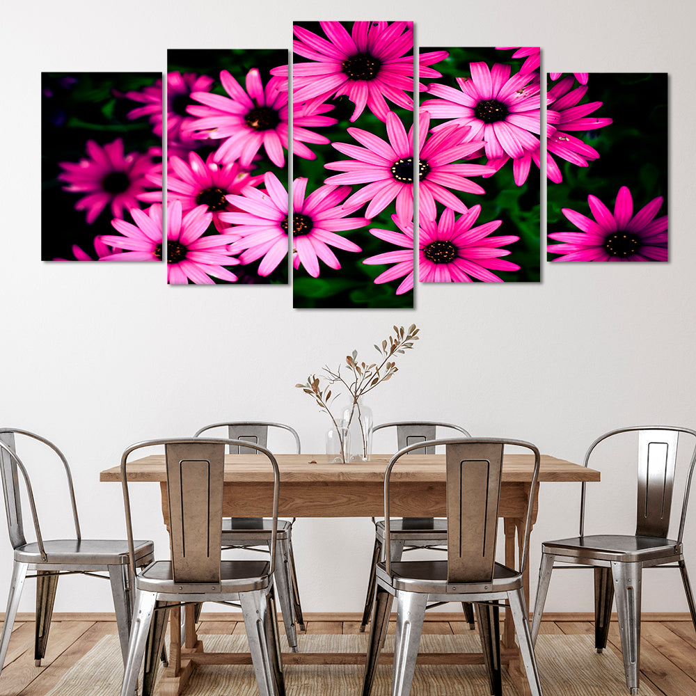 Family of pink daisies