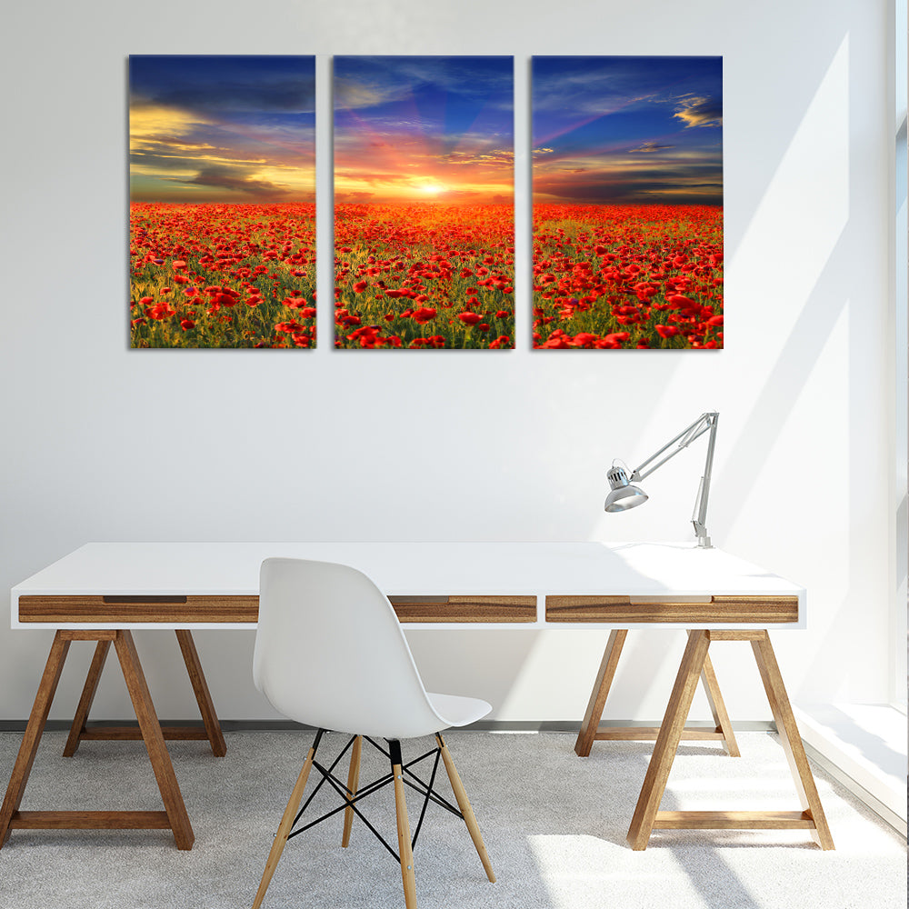 Cloudy skies over the poppies