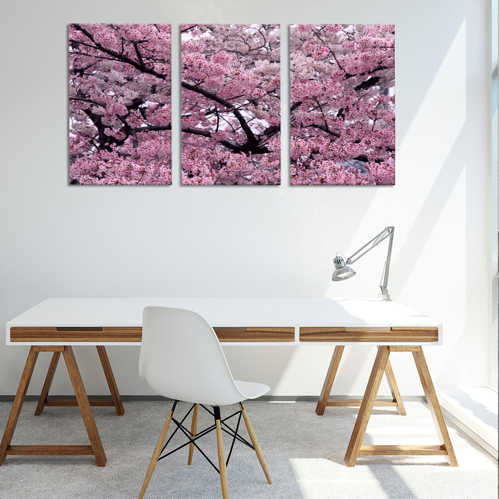 Cherry blossom