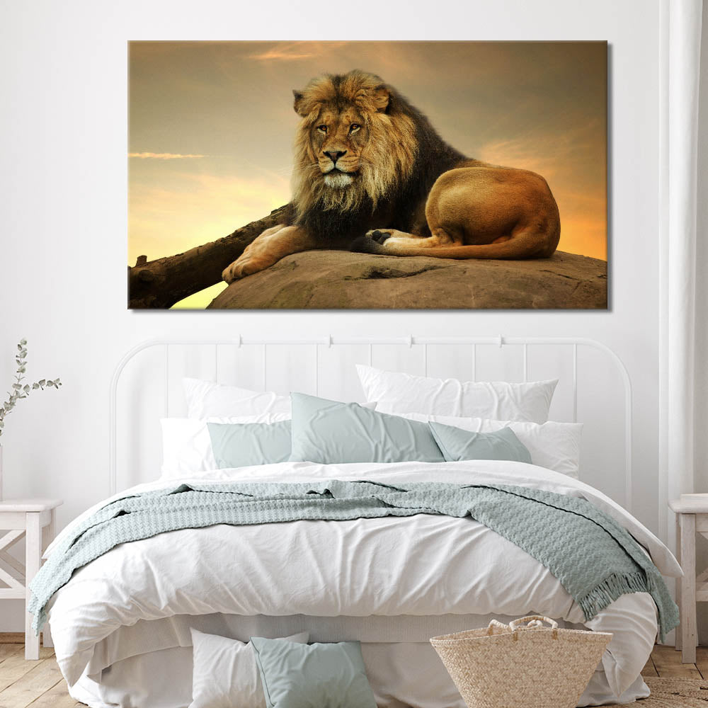 Relaxing Lion