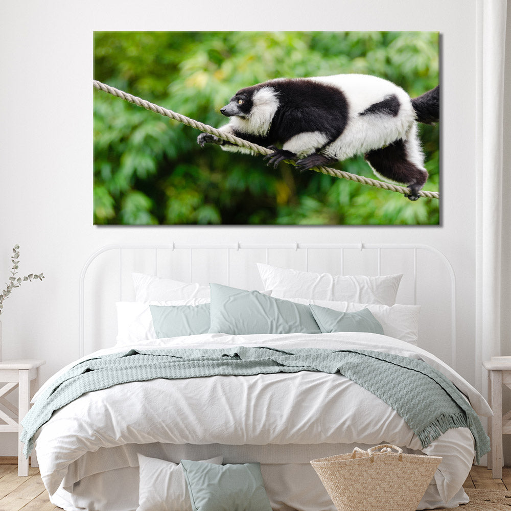 Lemur on a rope