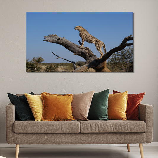 Cheetah on tree