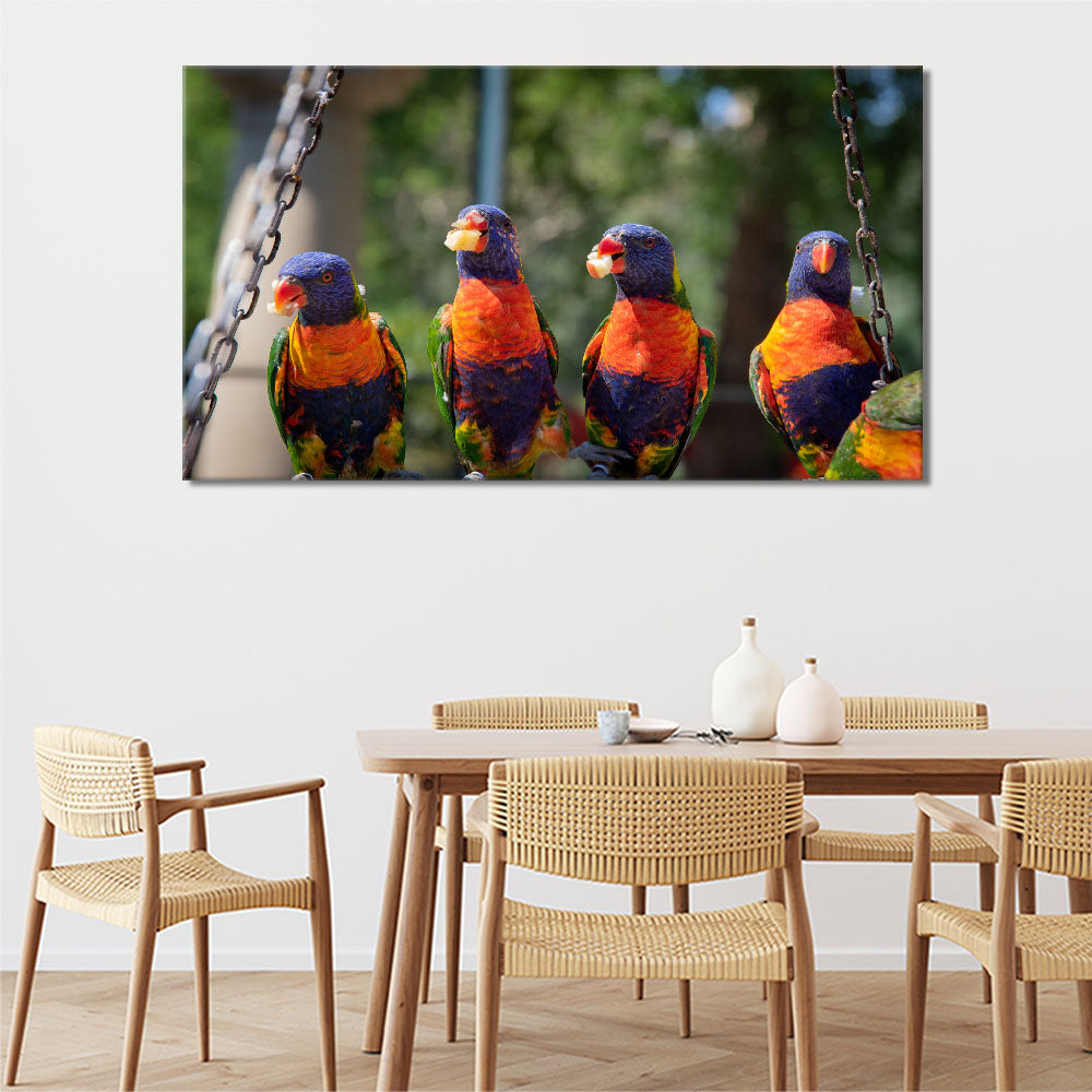 Group of parrots