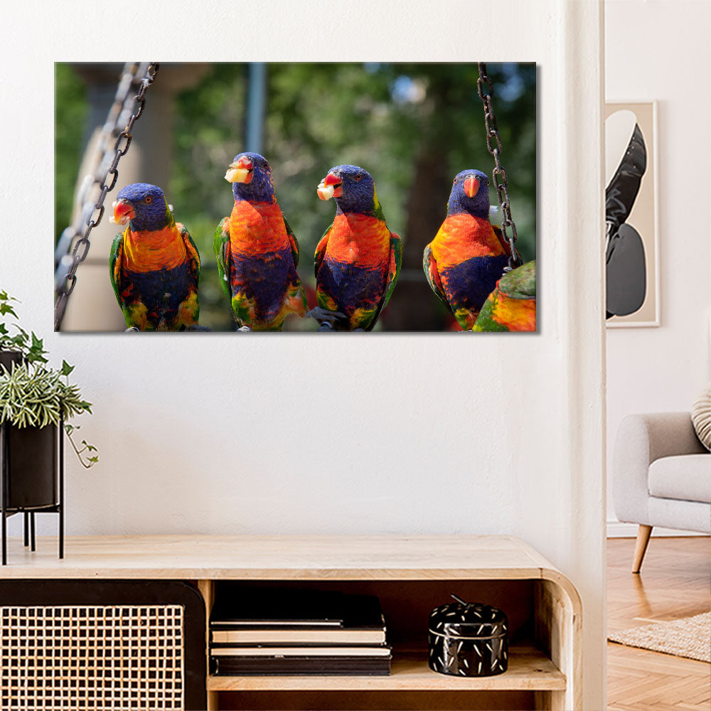 Group of parrots