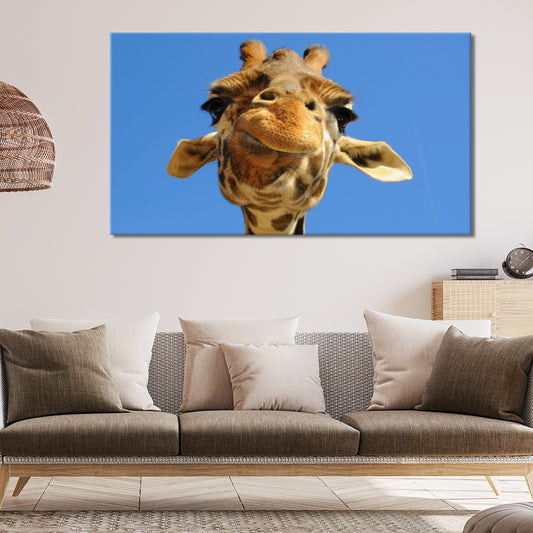 Funny giraffe