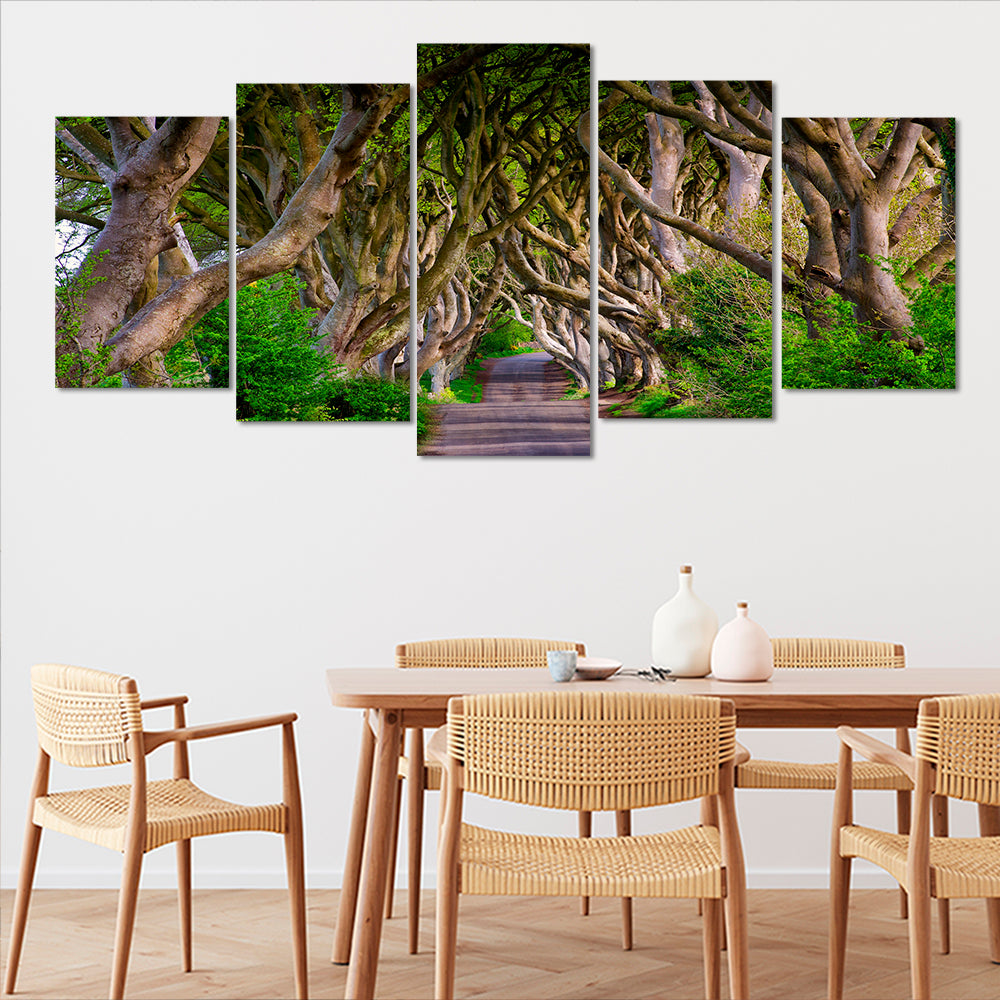 Ireland Dark Hedges