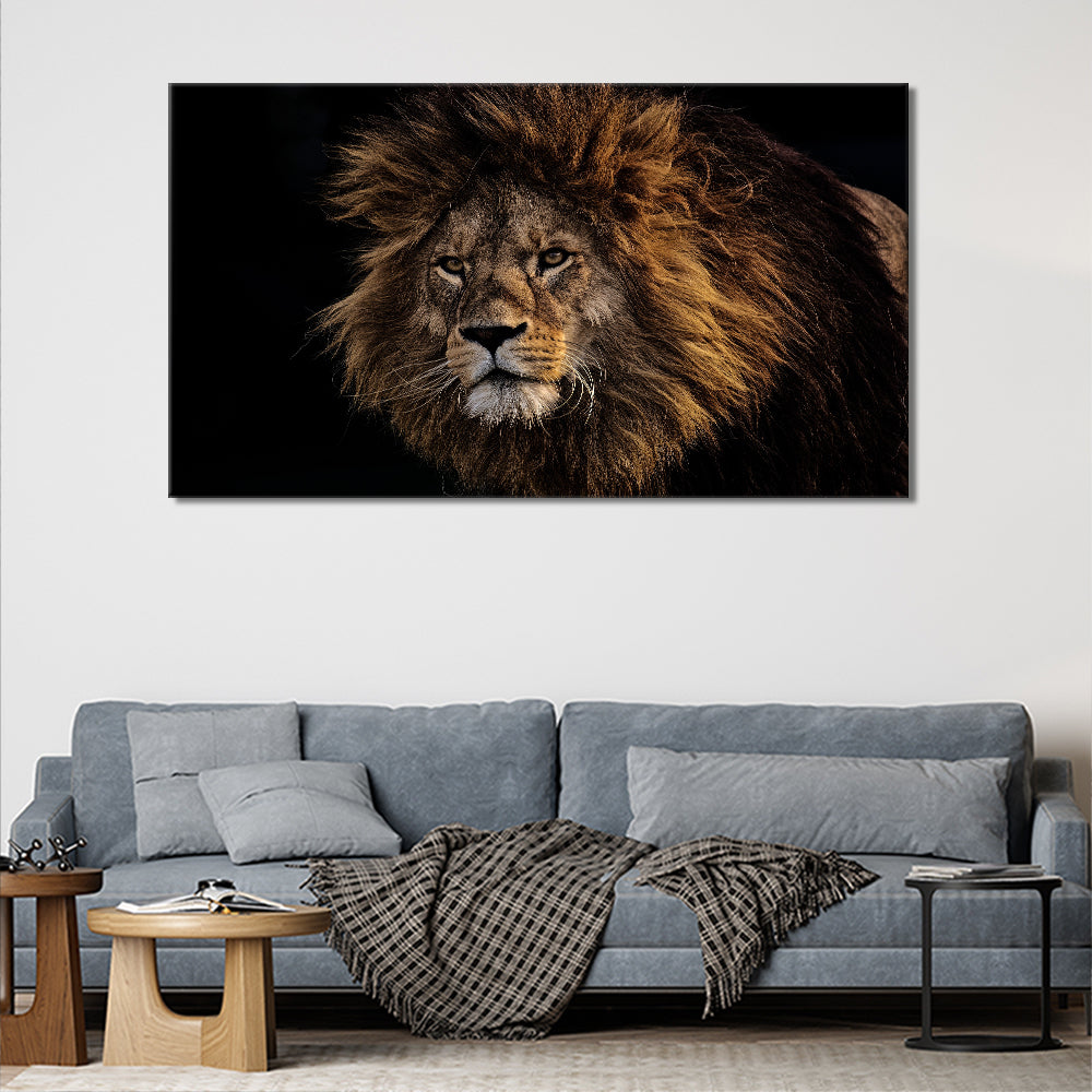 Lion picture