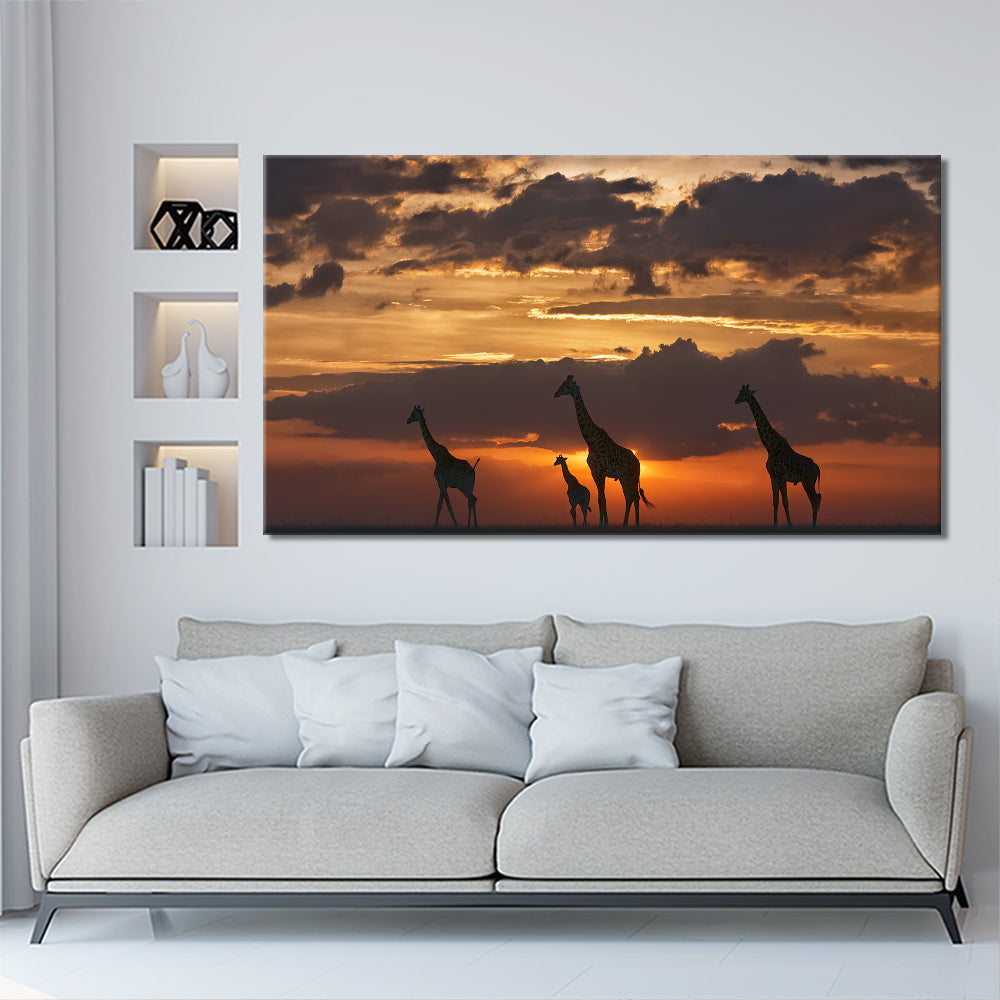 Magestic giraffes