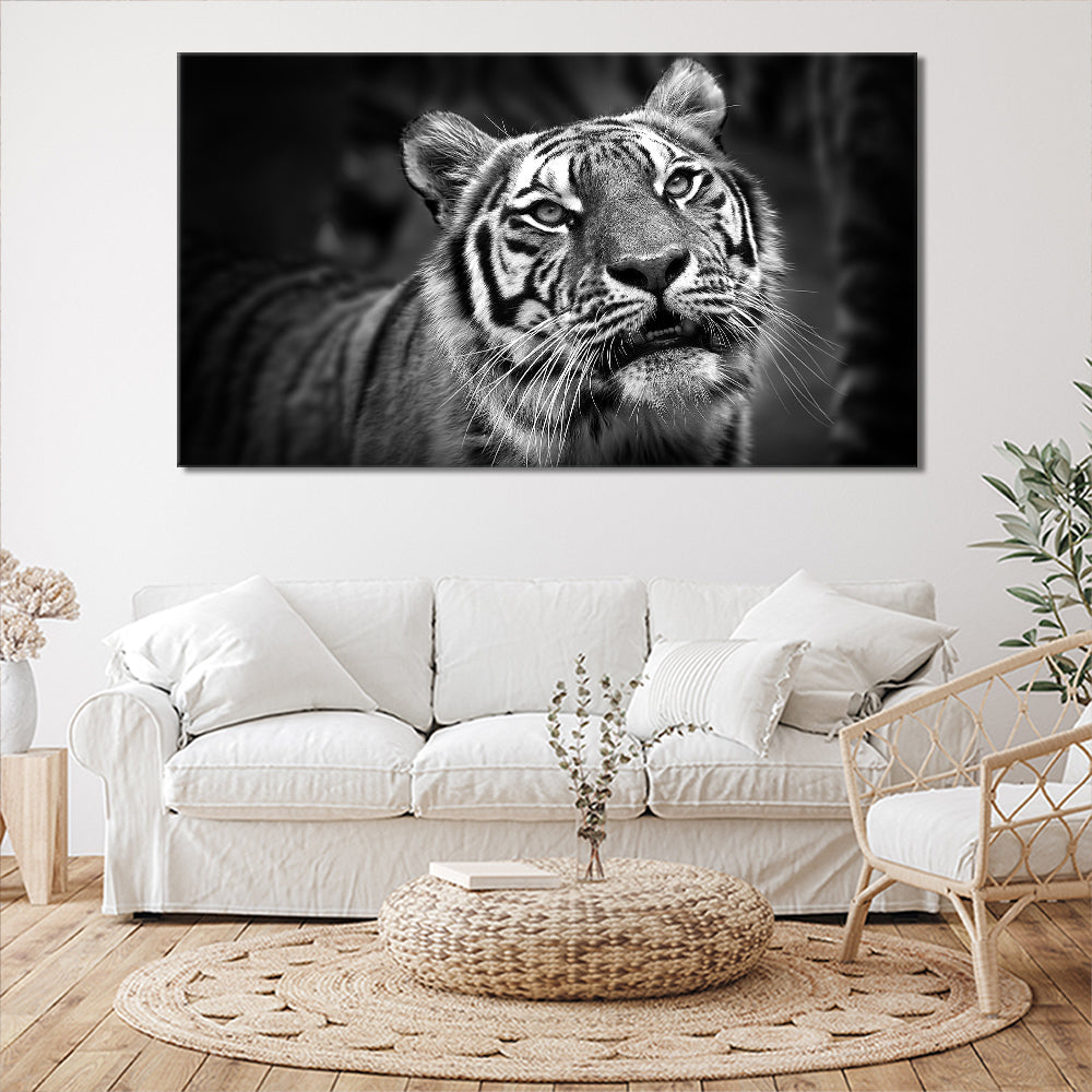 Black and white tiger