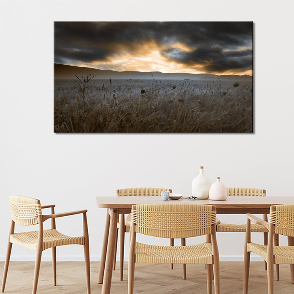 Clouds over the poppy field