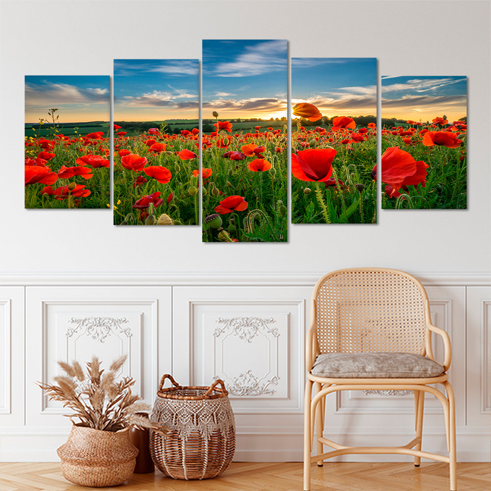 Sunrise through the poppies