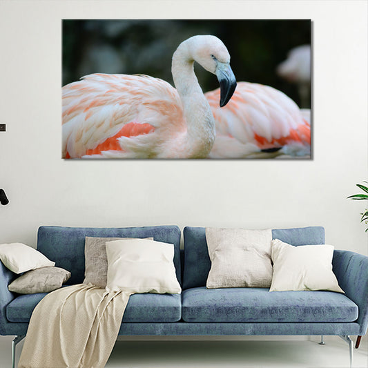 Group of flamingos