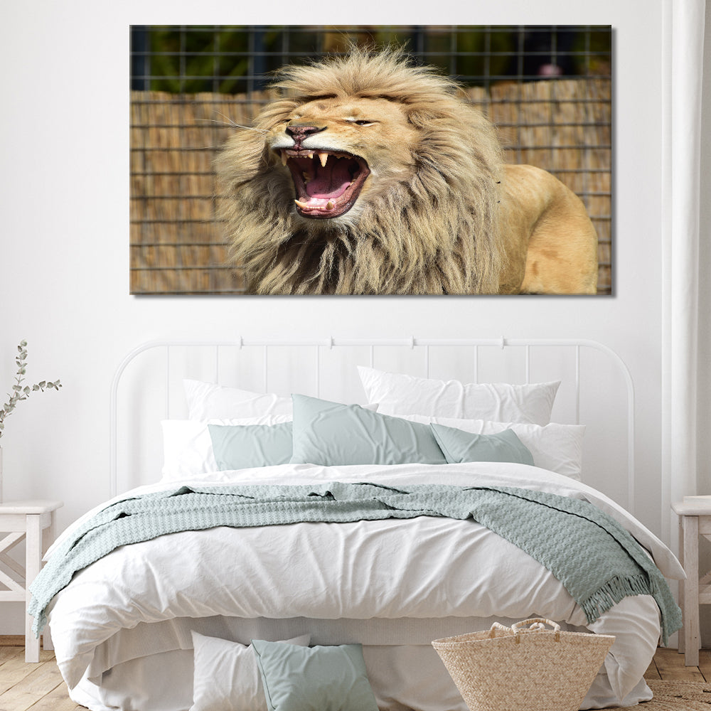 Lion roaring