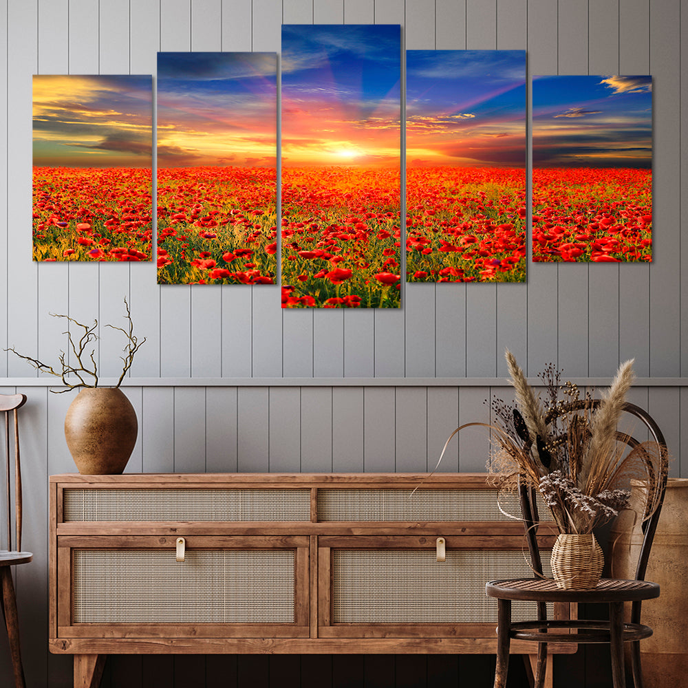 Cloudy skies over the poppies