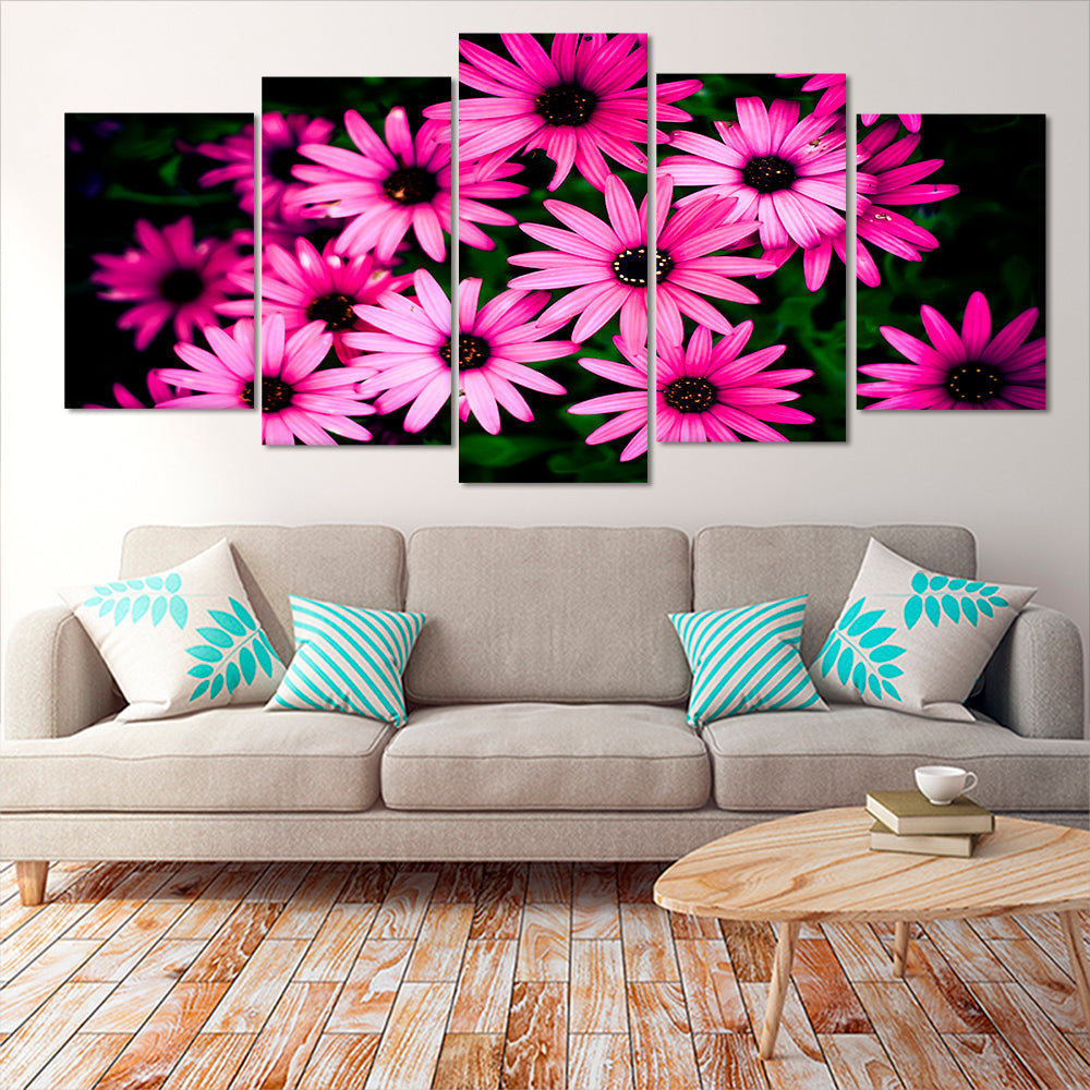 Family of pink daisies