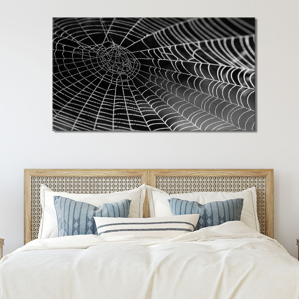 Spiders web