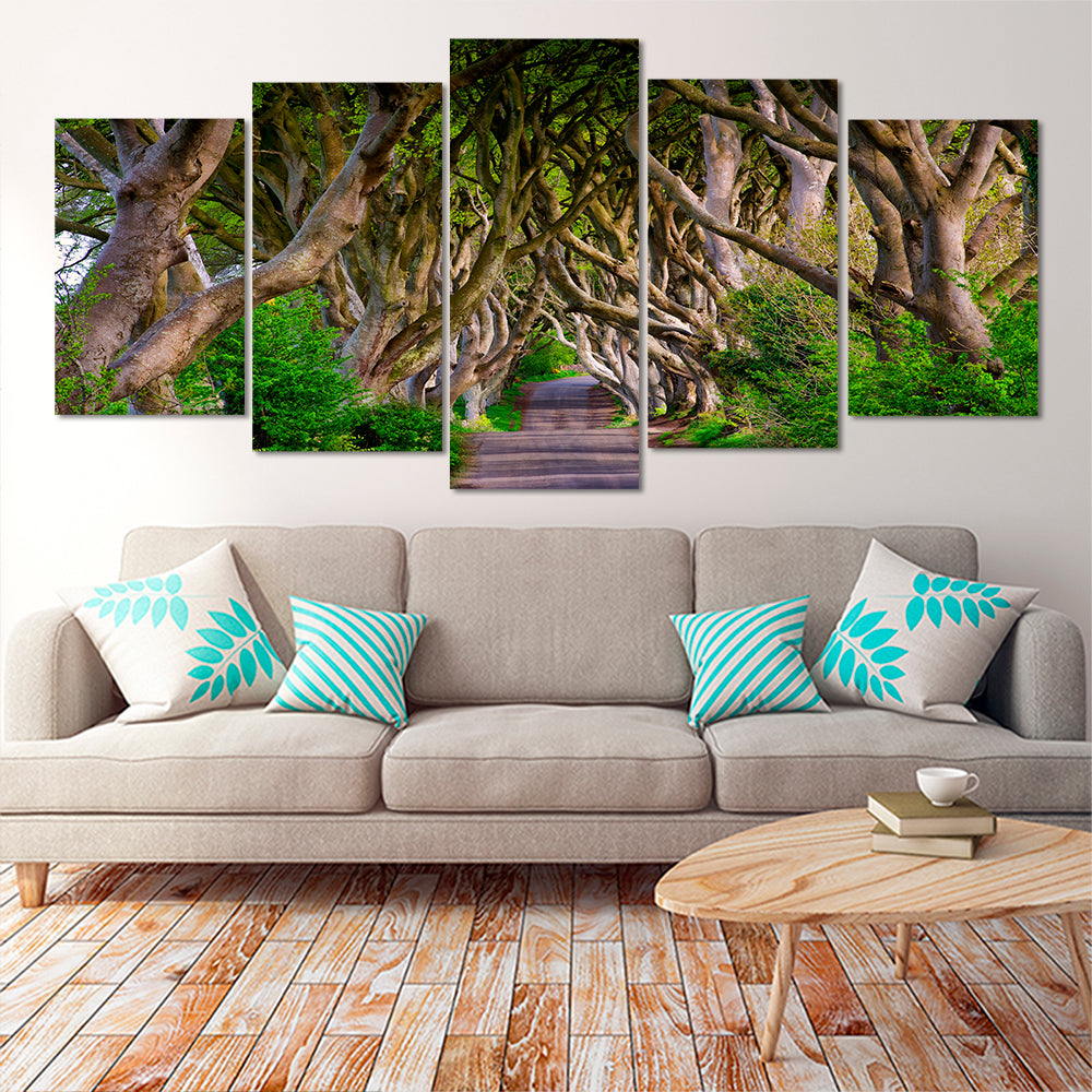 Ireland Dark Hedges