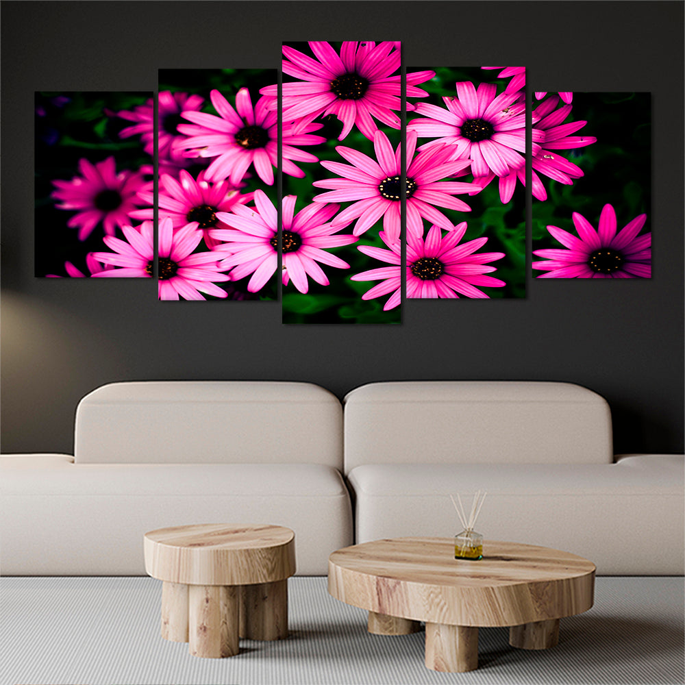 Family of pink daisies