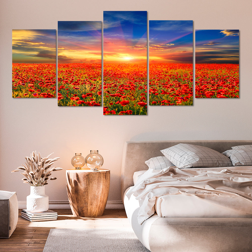 Cloudy skies over the poppies