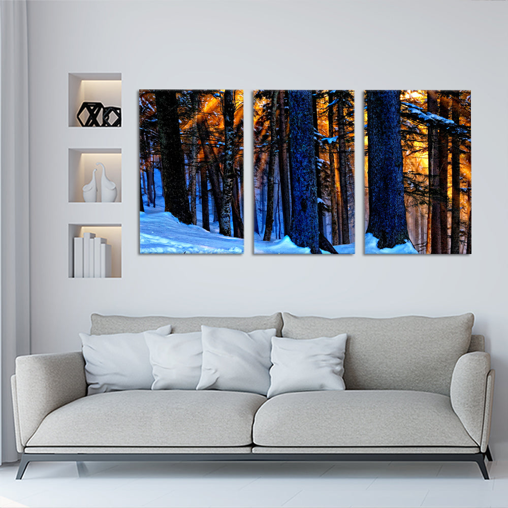 Snow forest sunset