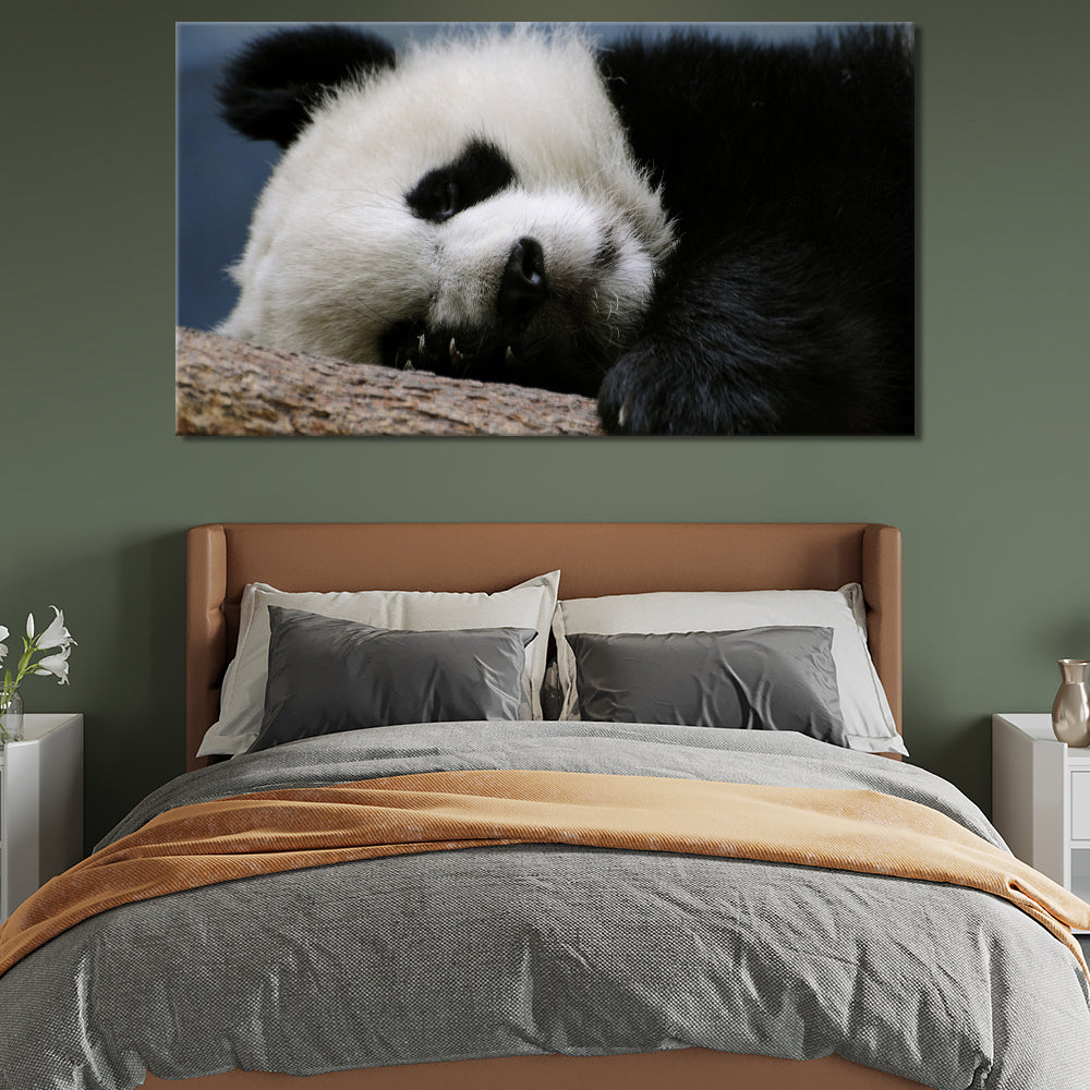 Sleeping panda