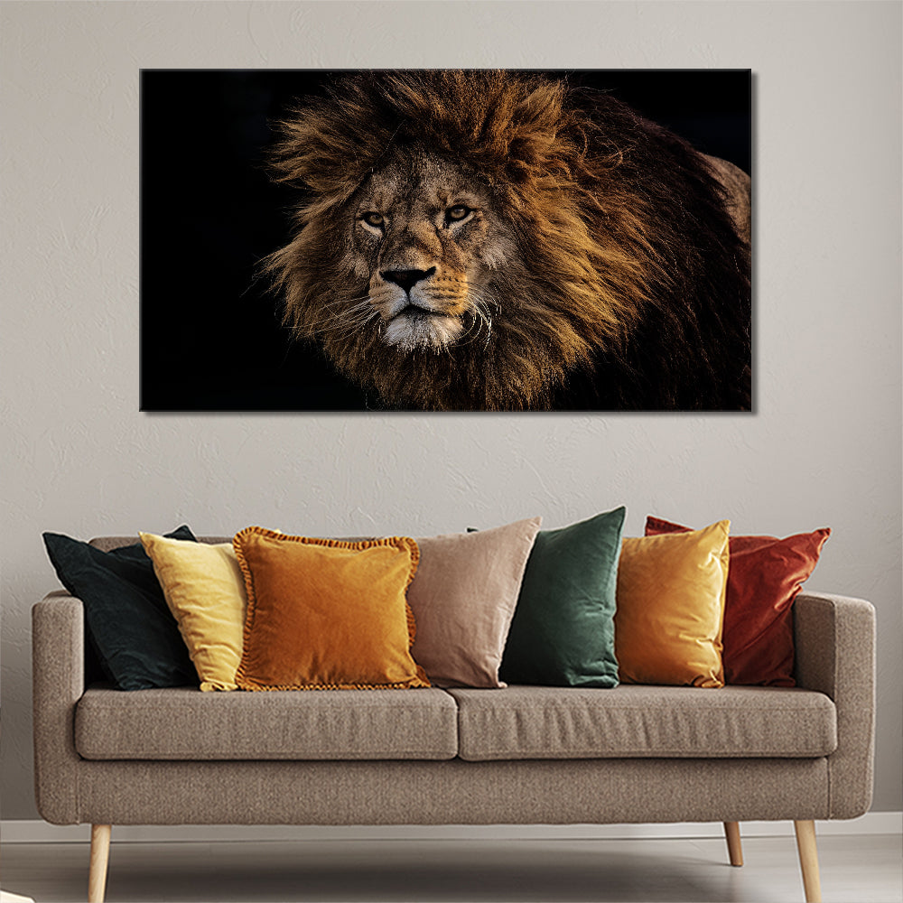 Lion picture