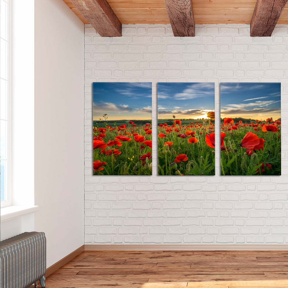 Sunrise through the poppies