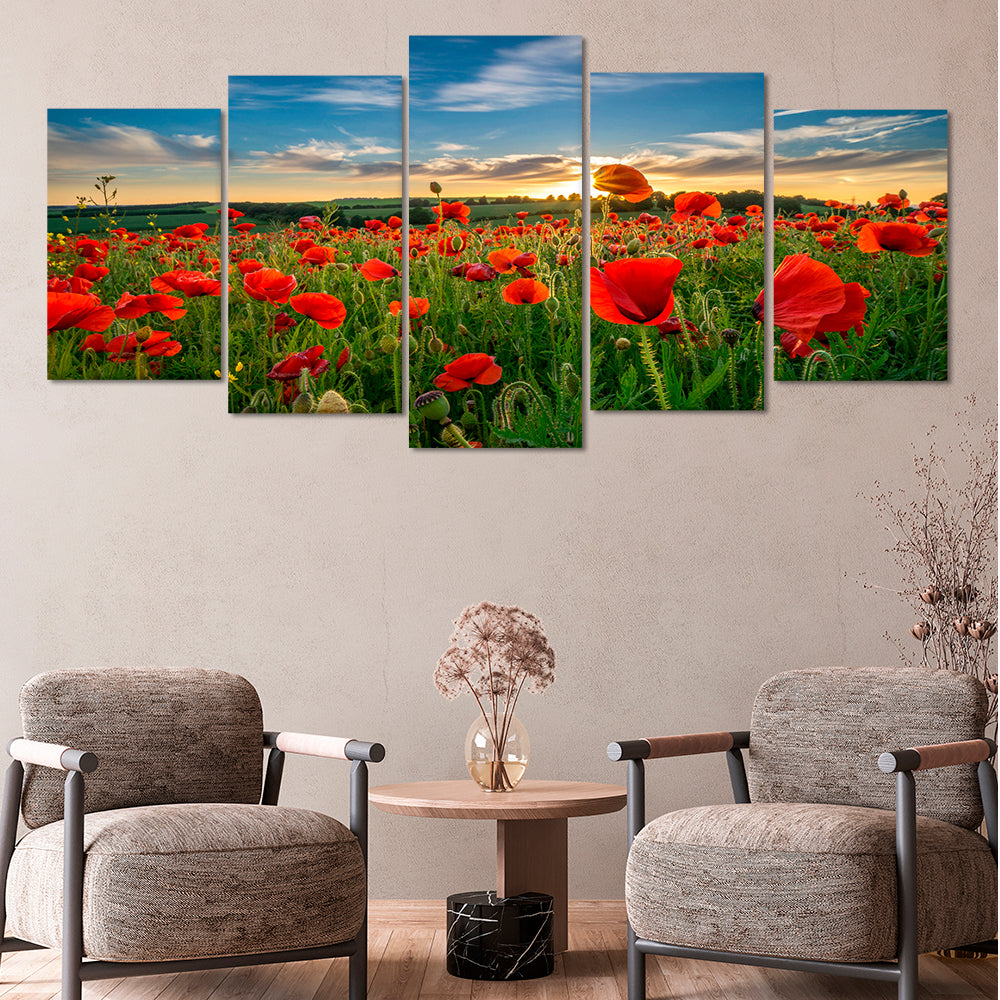 Sunrise through the poppies