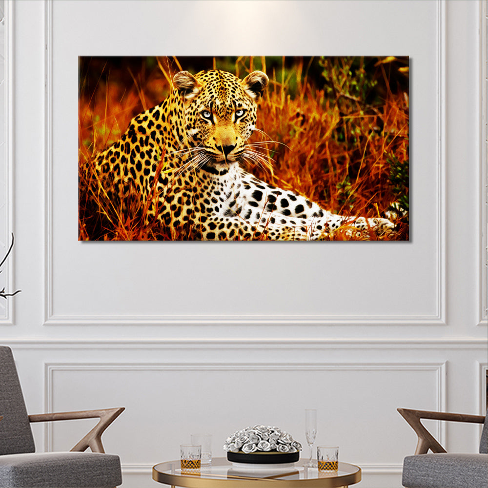 Stunning leopard in waiting