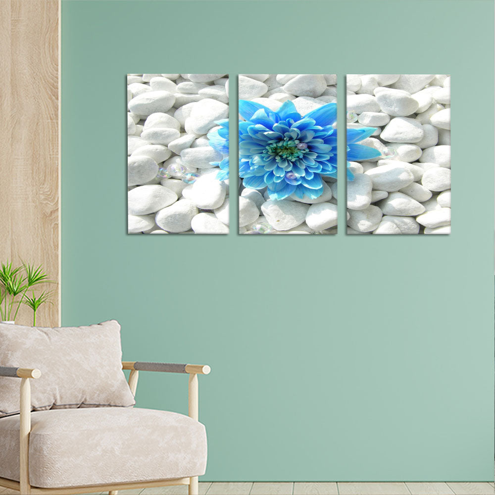 Blue flower on white pebbles