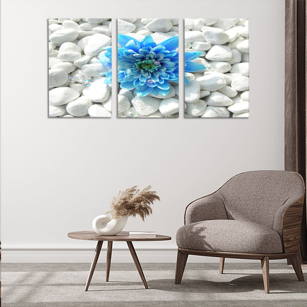 Blue flower on white pebbles