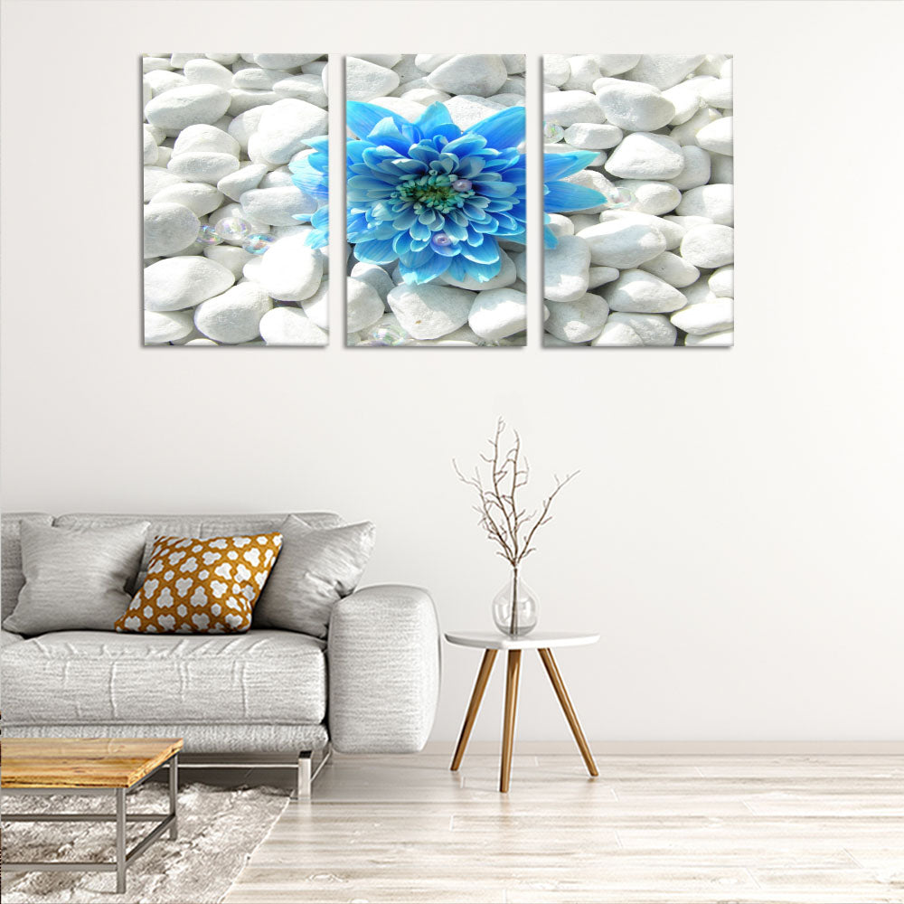 Blue flower on white pebbles