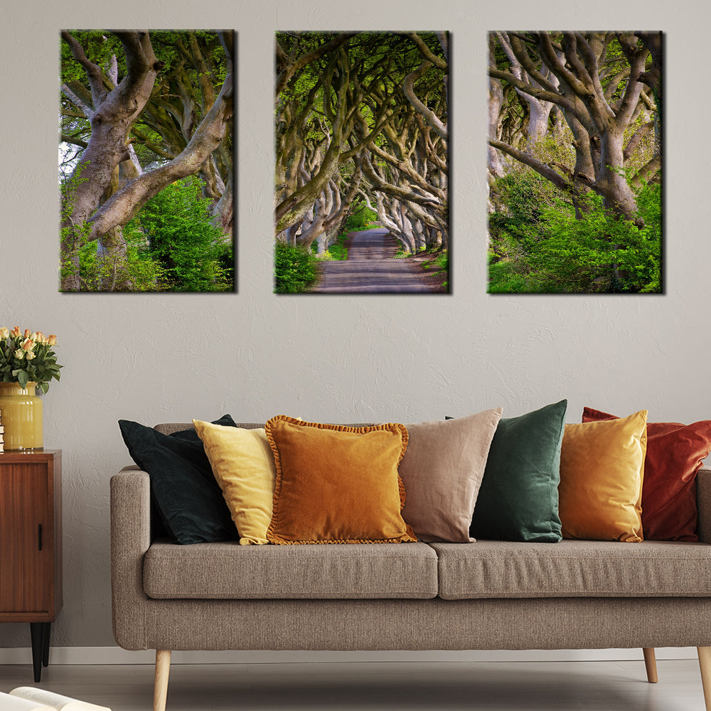 Ireland Dark Hedges