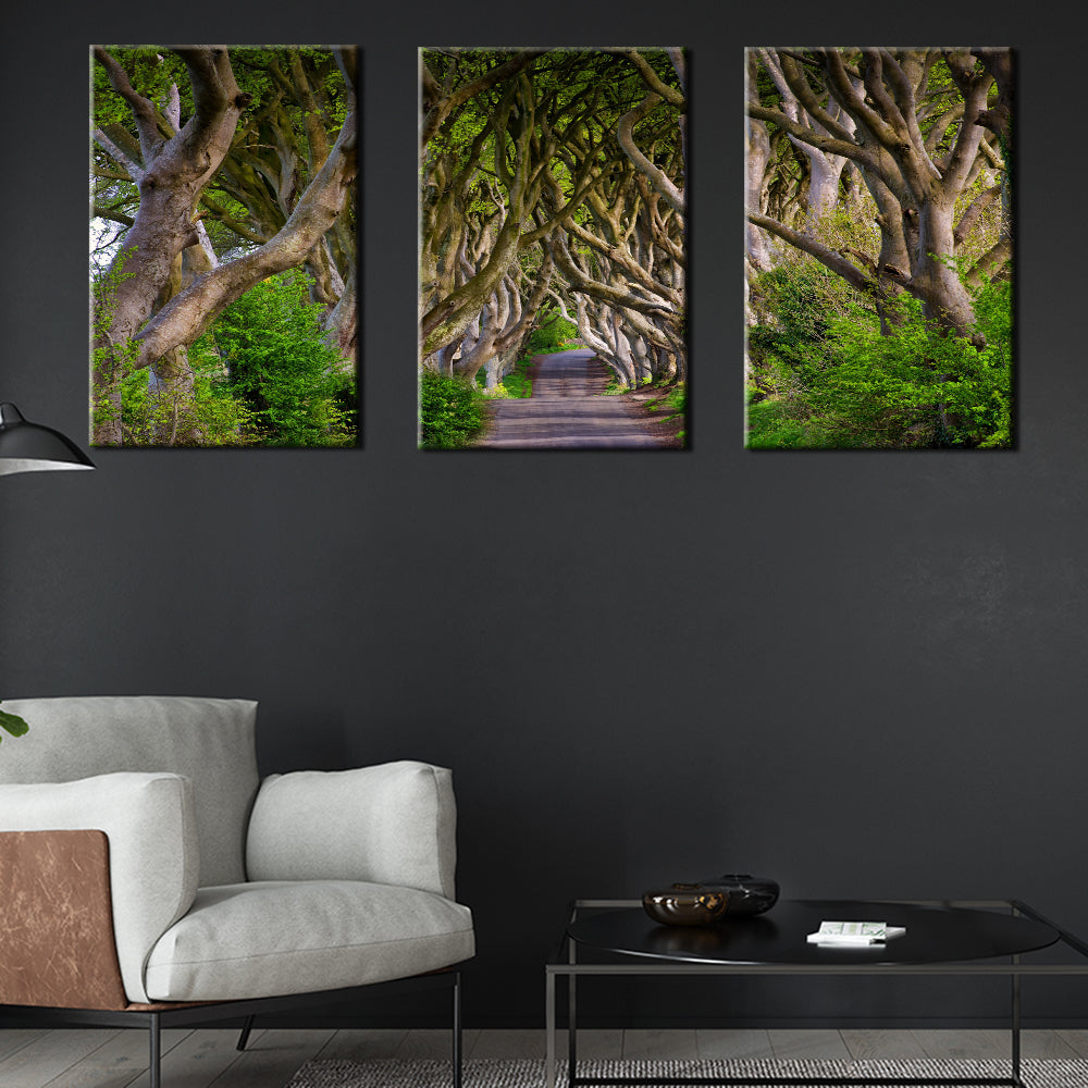 Ireland Dark Hedges