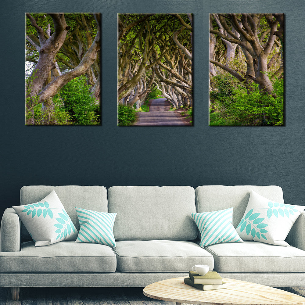 Ireland Dark Hedges