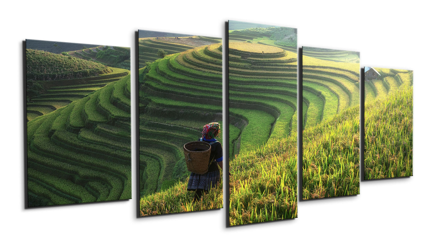 Rice Terraces Longsheng, China