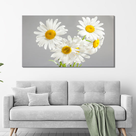 Daisies