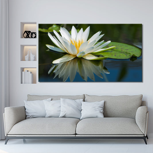 Waterlilly flower