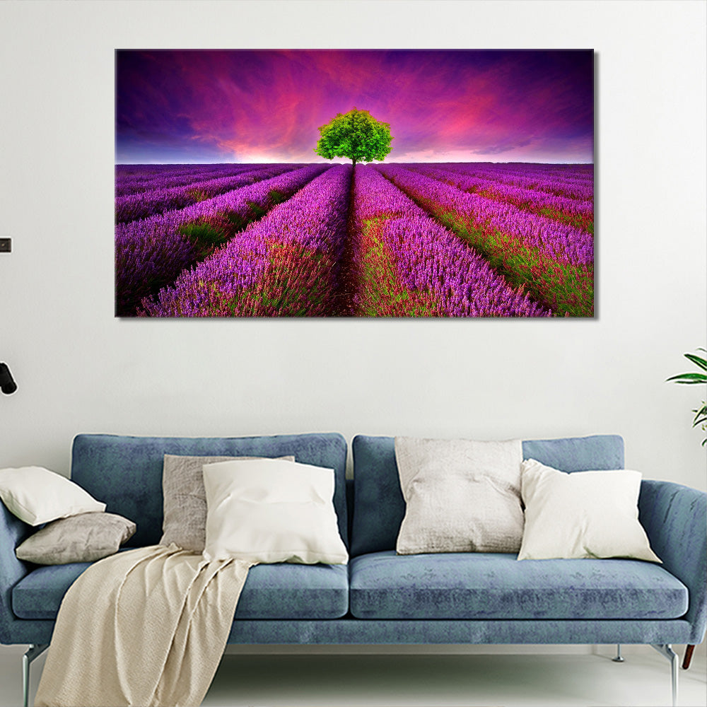 Lavender field